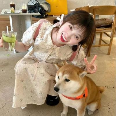 忠狗巴比传